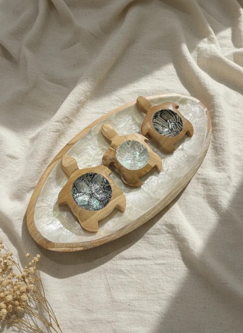Turtle Tray Snack Wood With Shell Coating